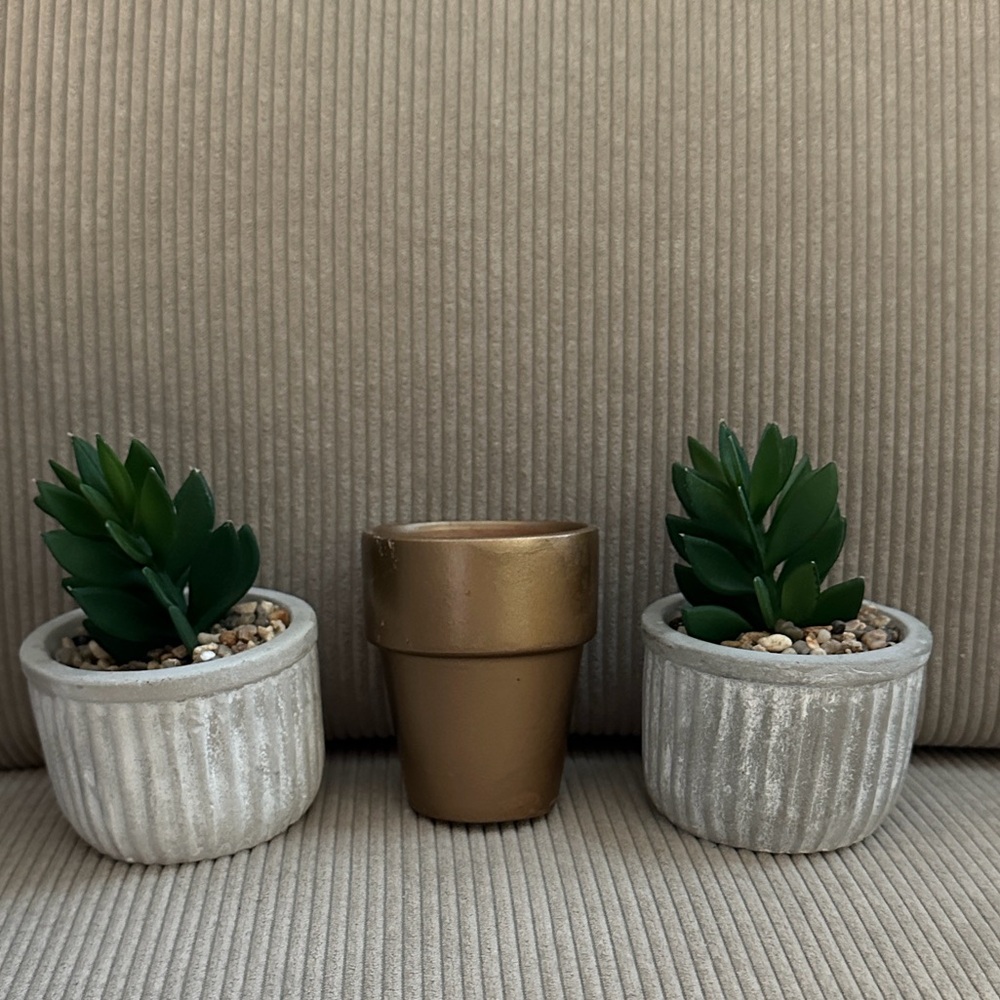 Gold and Silver Succulent Planter Set